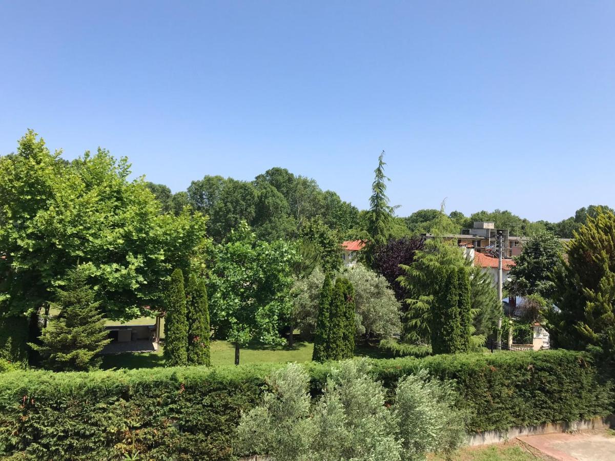 Dimeli 1