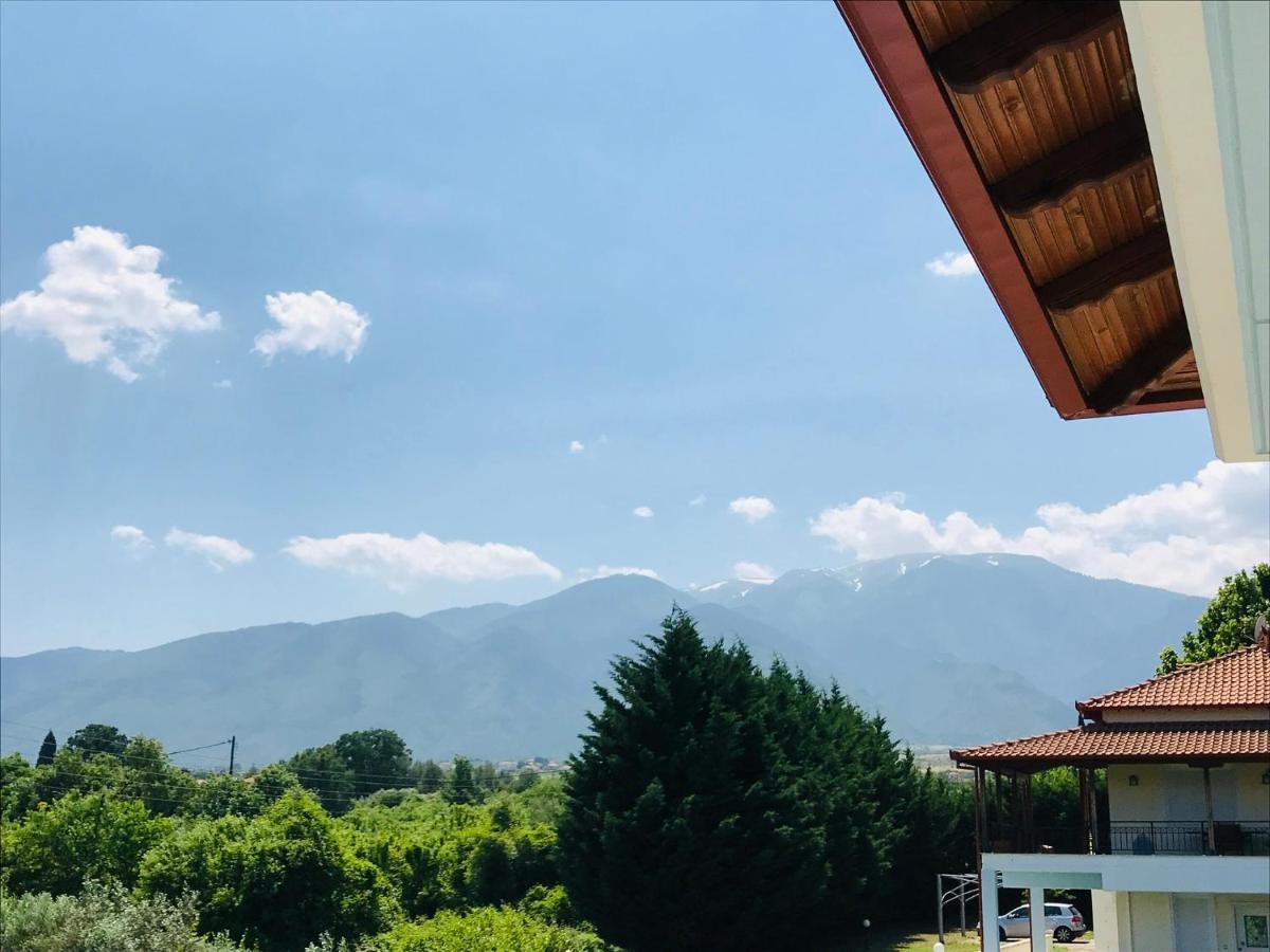 Dimeli 1 Apartment